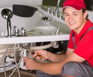 About Plumbers Pros Colden, NY